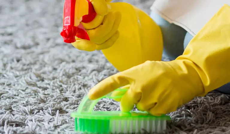 cropped picture of a person cleaning the carpet